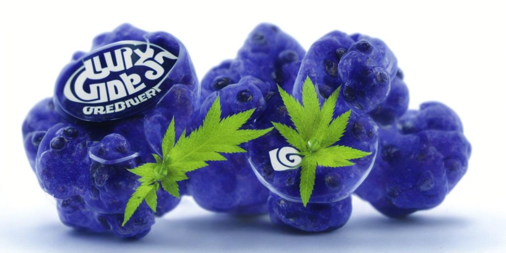 Blueberry Gushers Strain: Exploring the Blue Gushers Strain Experience