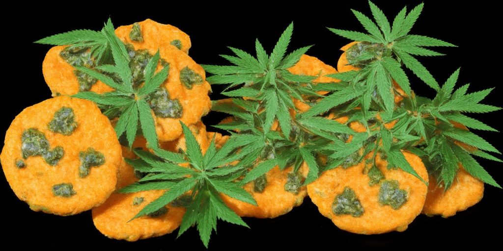 Mandarin Cookies R1 V2 weed strain