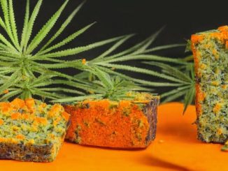 Papaya Cake Marijuana Strain: A Blend of Flavor and Potency
