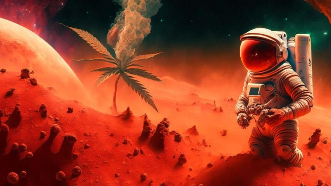 Explore the weed Strain Mars OG