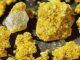 Delving into Sunrocks: What Sets Them Apart from Conventional Cannabis?