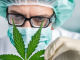 New Guidelines Urge Disclosure of Heavy Cannabis Use Before Surgery